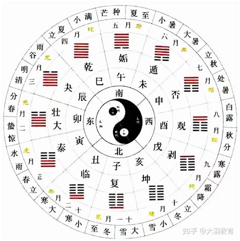 立卦|立卦是什么意思